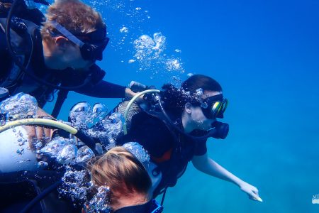 Discover Scuba Diving (beginner)
